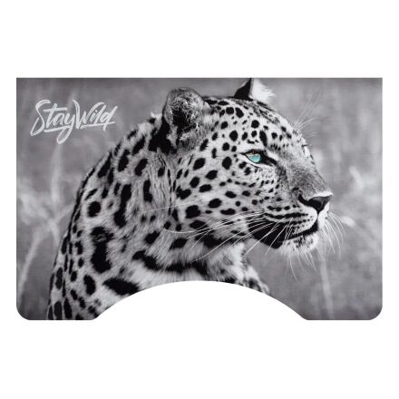 Дитяча парта растишка Bambi W 2071-63-5 Тачки