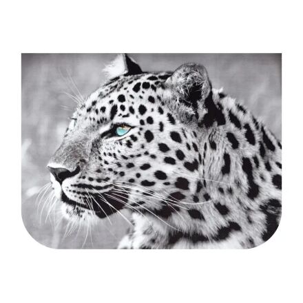 Дитяча парта растишка Bambi W 2071-63-5 Тачки