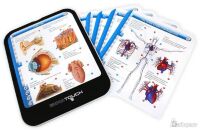 Сенсорний планшет Educa Тіло людини 15468