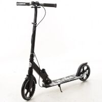 Самокат дорослий алюмінієвий iTrike SR 2-015-3-W білий