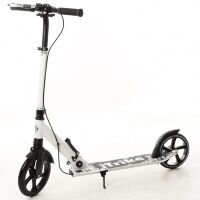 Самокат дорослий алюмінієвий iTrike SR 2-015-3-W білий