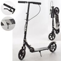 Самокат дитячий складаний iTrike JR 3-003-1-B MAXI 8 кольорів принт