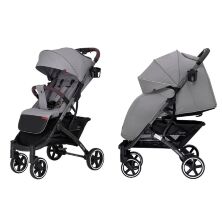 Прогулянковий дитячий візок CARRELLO Astra CRL-5505/1 Raven Grey з дощовиком і підсклянником /КОЛЯСКА сіра