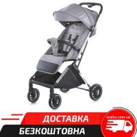Дитяча коляска EL CAMINO ME 1129 LINK Silver Striped чохол, дощовик / колір сріблястий