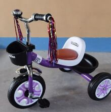 Дитячий триколісний велосипед Best Trike LM-5105 з кошиками та дзвіночком/фіолетовий для дівчинки