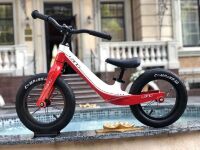 Беговел-велобіг від дитячий LANQ WLN1255 колеса 12 дюймів магнієва рама і вилка рожевий