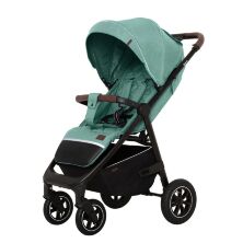 Коляска дитяча прогулянкова Lorelli Fiona Dark Beige темно-бежевий