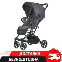 Дитяча коляска El Camino 1099 Lyra з чохлом на ніжки Gray