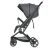 Дитяча коляска El Camino 1099 Lyra з чохлом на ніжки Gray