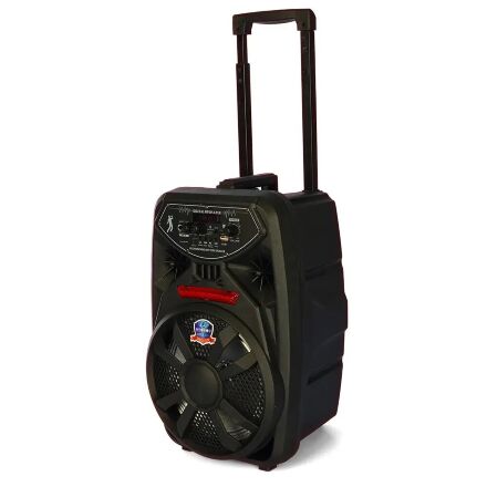 Колонка музична 8 дюймів PK-09L на акумуляторі / пульт та мікрофон / TFслот Bluetooth FM MP3 на колесах