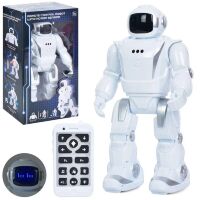 Дитячий Інтерактивний Робот J1062A