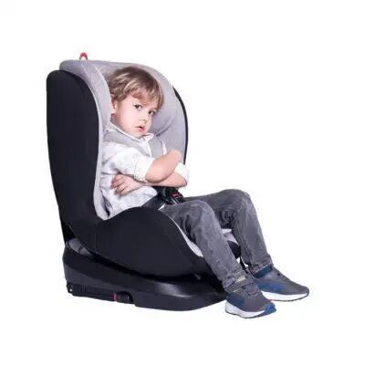 Дитяче автокрісло Lorelli (Bertoni) NEBULA Isofix 0-36 kg Pink рожева