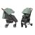 Прогулянкова дитяча коляска CARRELLO Gloria CRL-8506 Mint Green з дощовиком / зелена