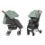 Прогулянкова дитяча коляска CARRELLO Gloria CRL-8506 Mint Green з дощовиком / зелена